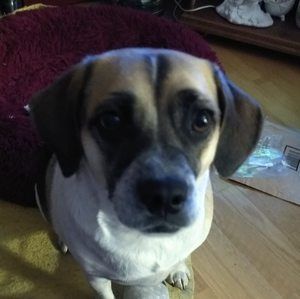 Meet your Posher, Lori